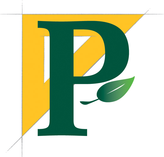 Pinnacle Custom Builders Inc