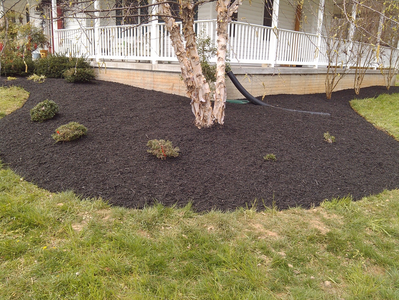 Short Cutter's Inc Project Page