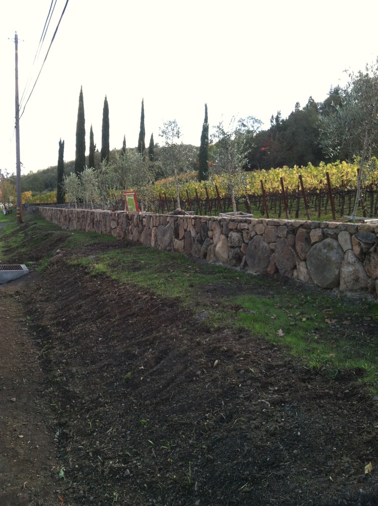 Ruvalcaba Landscaping Project 1