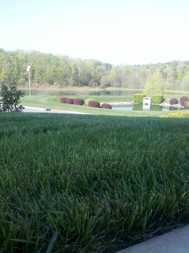 Grassy Meadows lawn care And Tick Control Corp. 