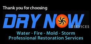 Dry Now Services