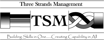 Three Strands Management Llc