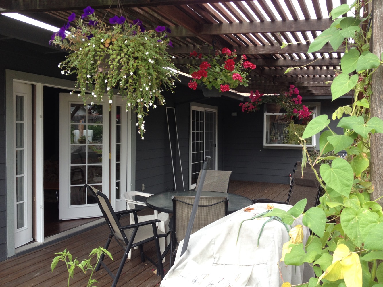 Photo(s) from Roberto Redi