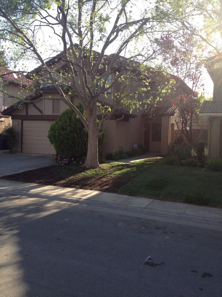 Kriztian Salas Project