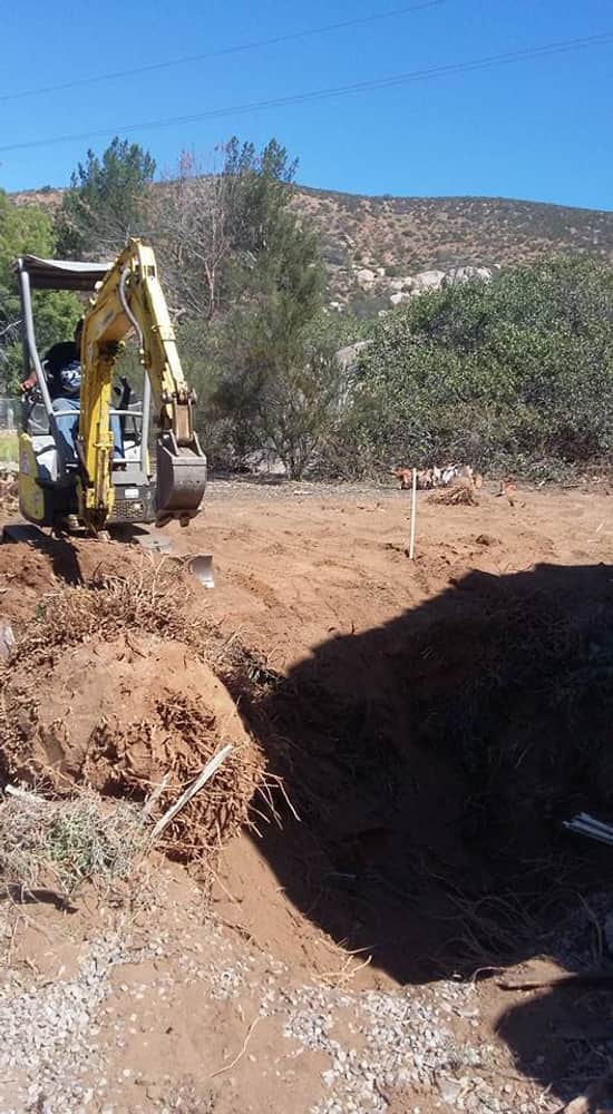 Photos from Sorias Landscaping & Maintence