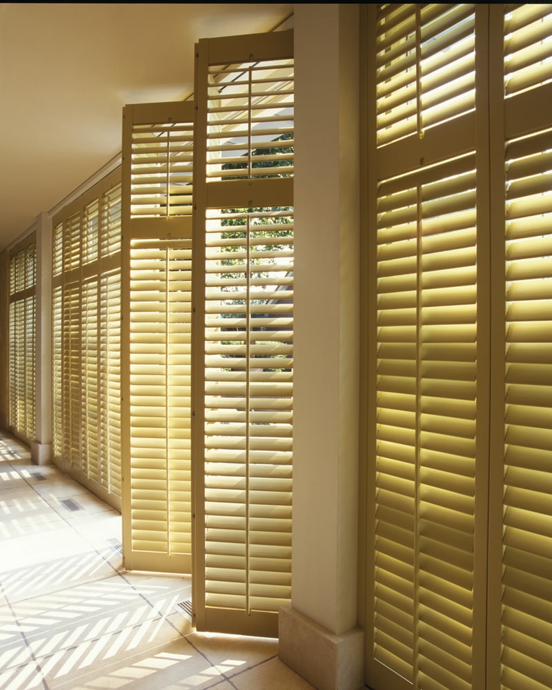 Norman's Assorted Gallery