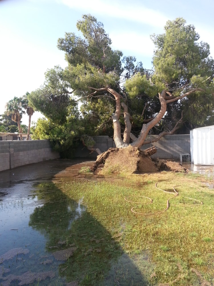 Emergency Main Line Repair