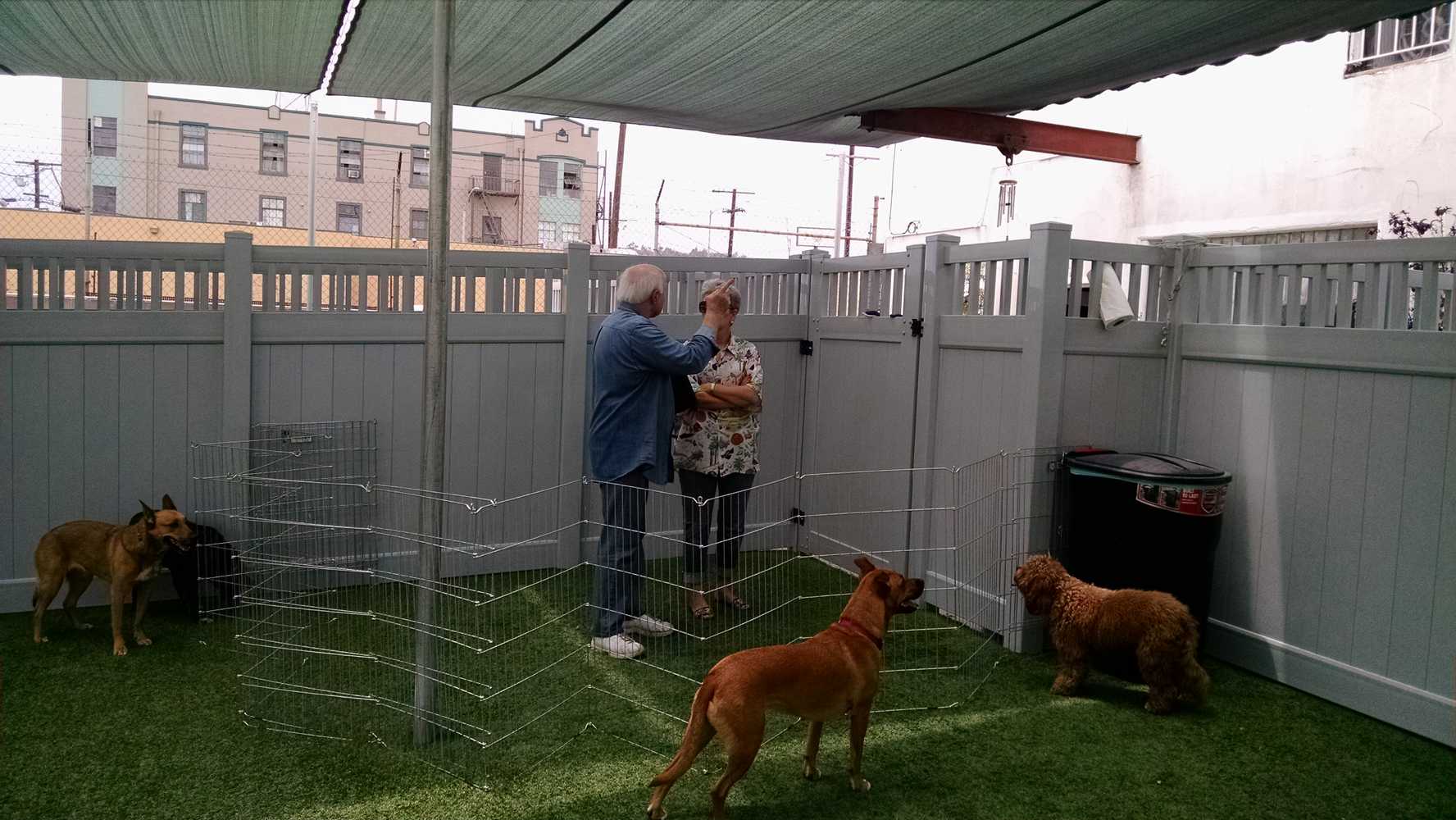 Dog-Friendly Fencing and Gates