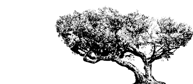 Hilliards Stump and Tree Removal