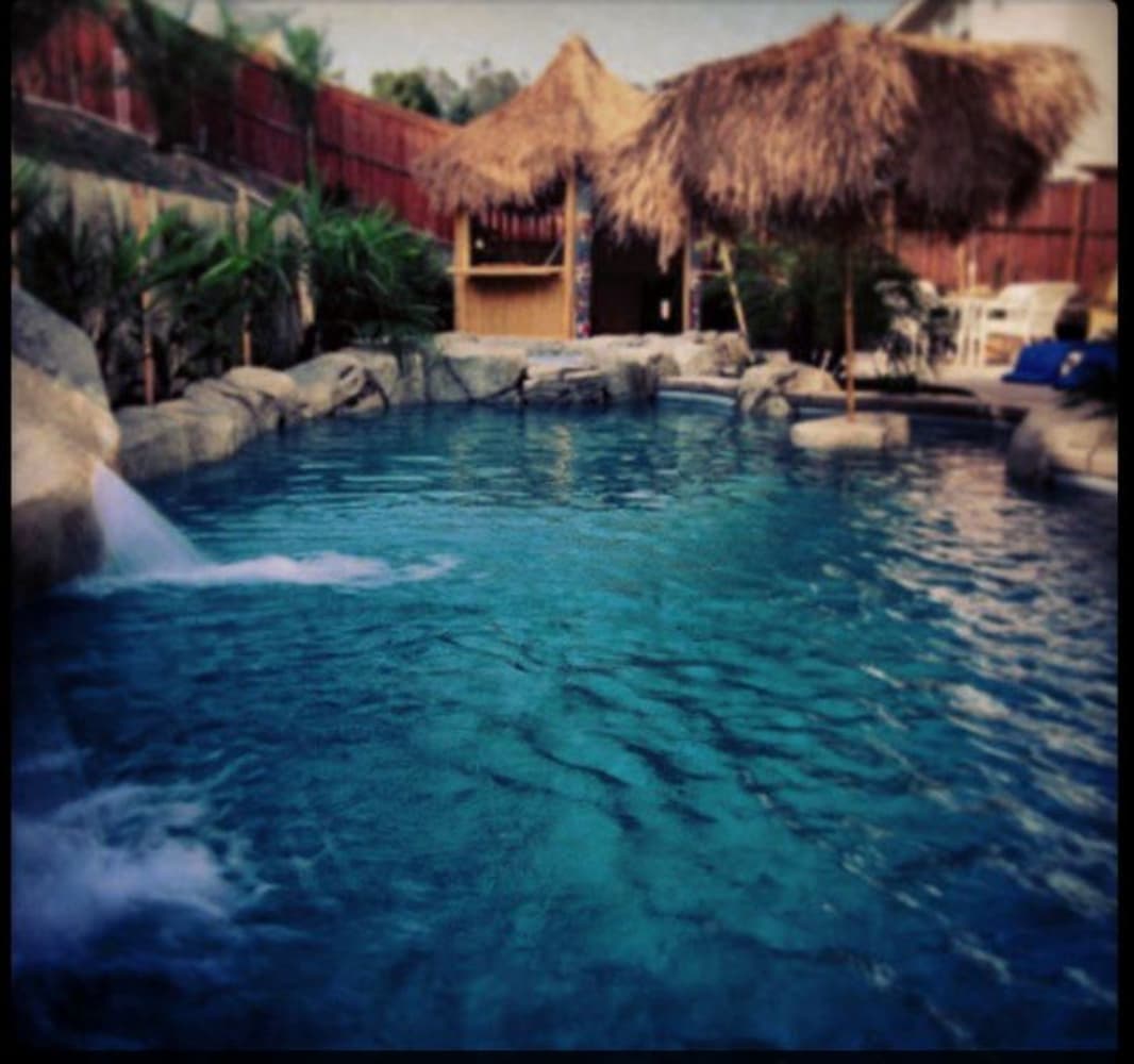 Photo(s) from Olympus Pools Inc