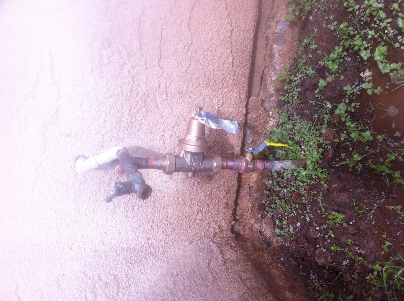 Plamen Braykov Project