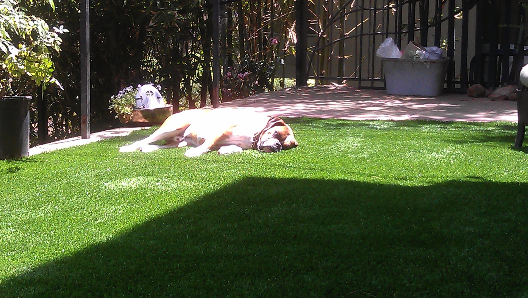 San Diego Artificial Turf and Landscaping Company