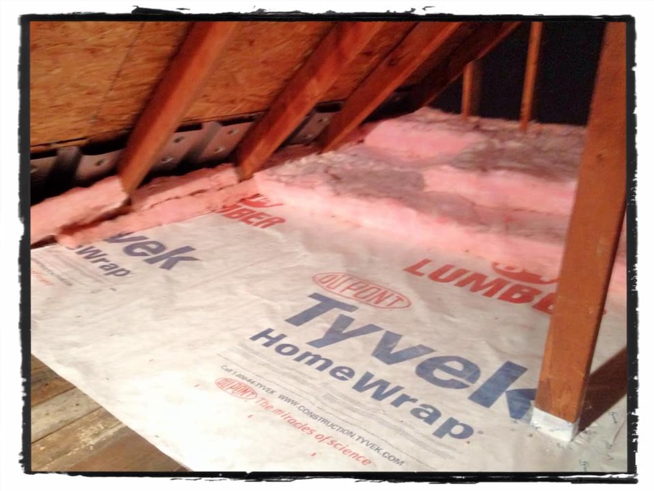 Photos from Chad Shirey