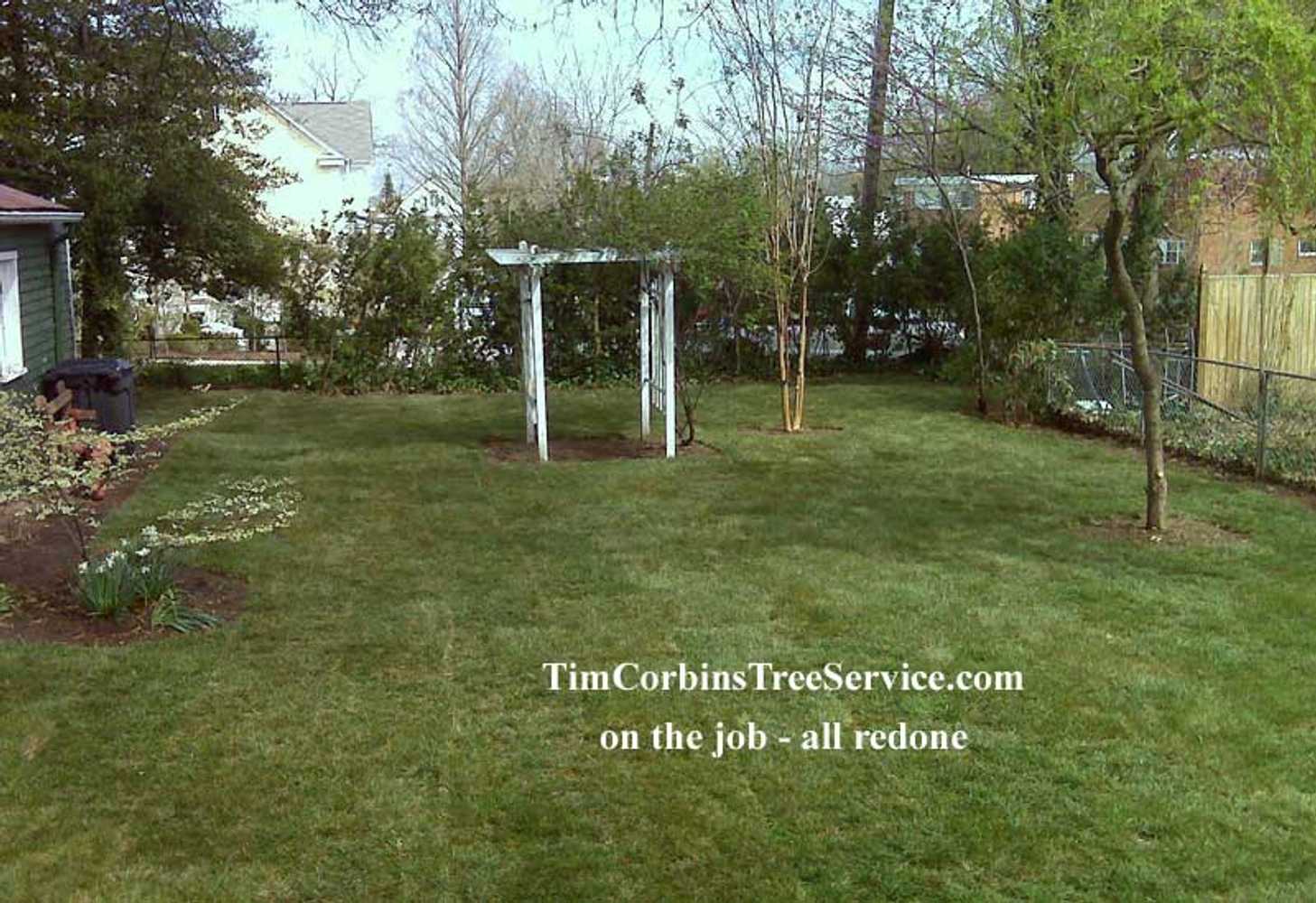 Project photos from Tim Corbin's Tree Service