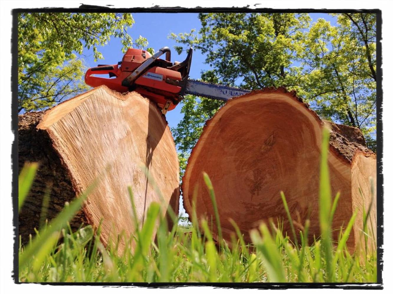 Photos from Chad Shirey