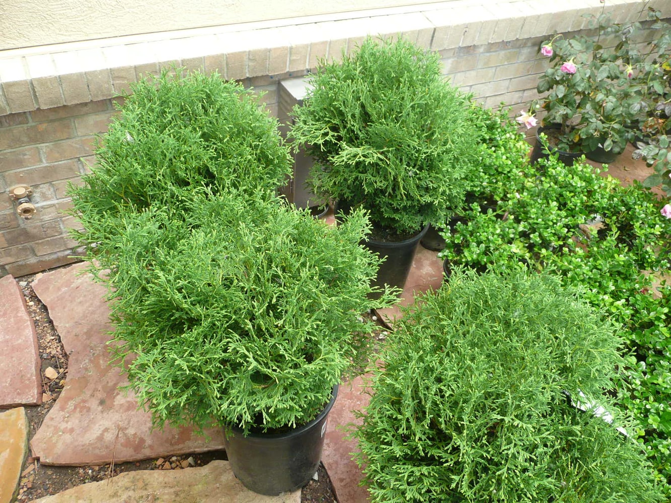 Photo(s) from Integrity Design & Landscape Inc