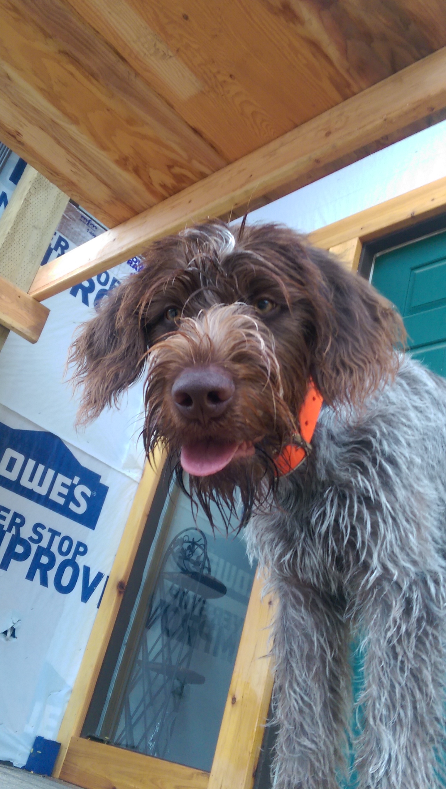 Bmf Construction Llc