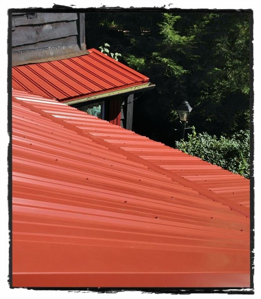 Photos from Chad Shirey