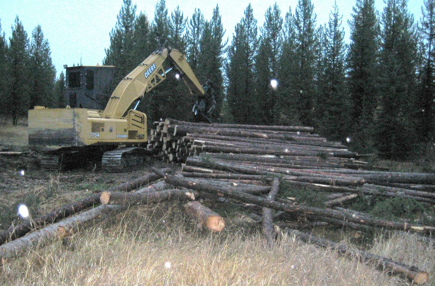 Wilderness Building Systems Project