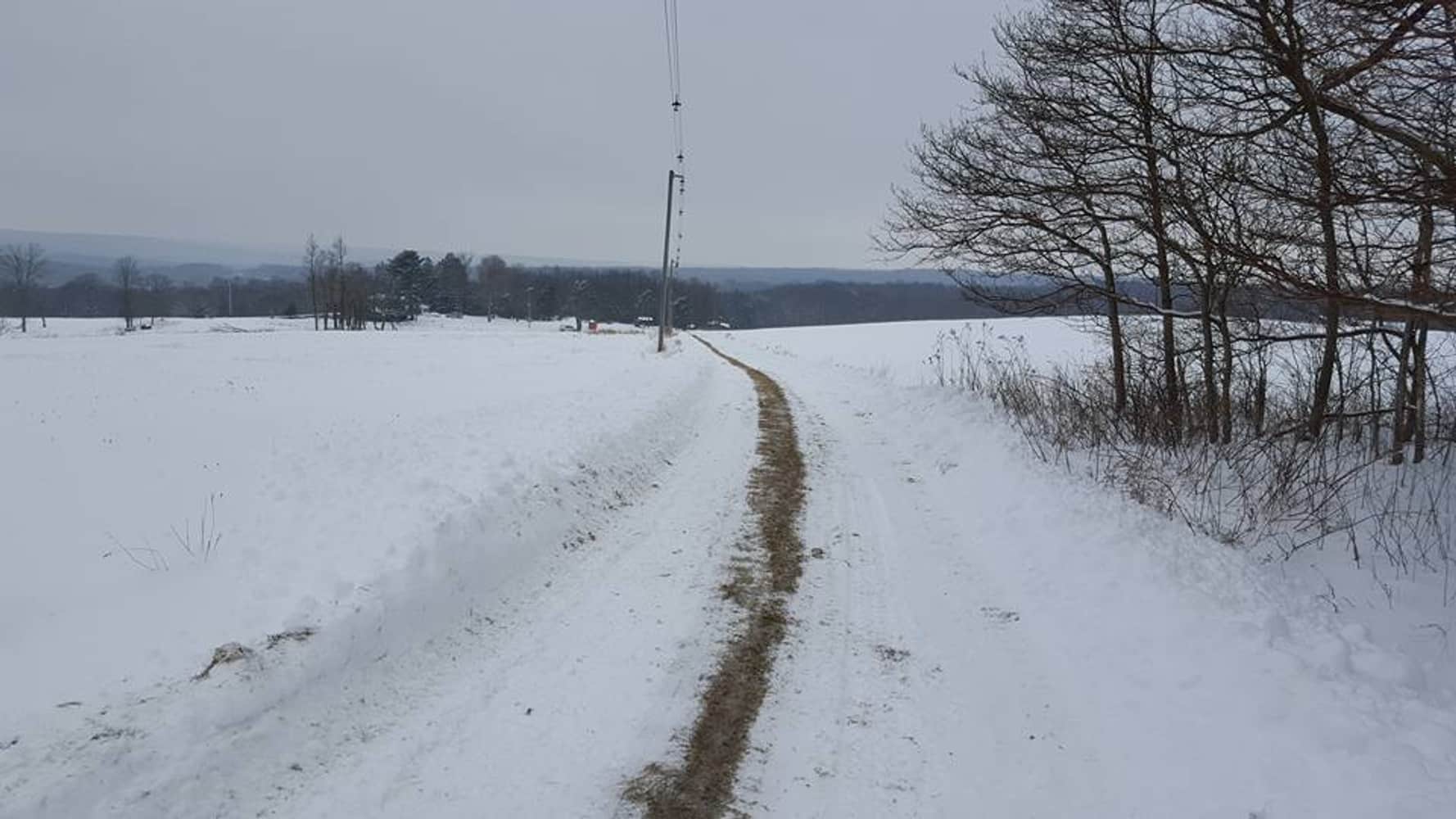 Photos from Chad Shirey