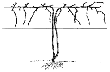 Dagan Design & Construction