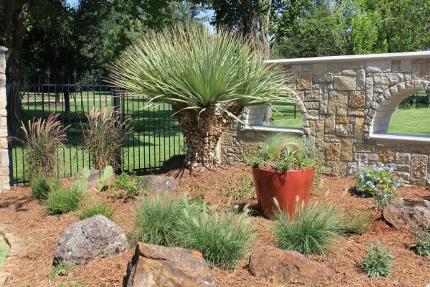 Landscape Design and Installation