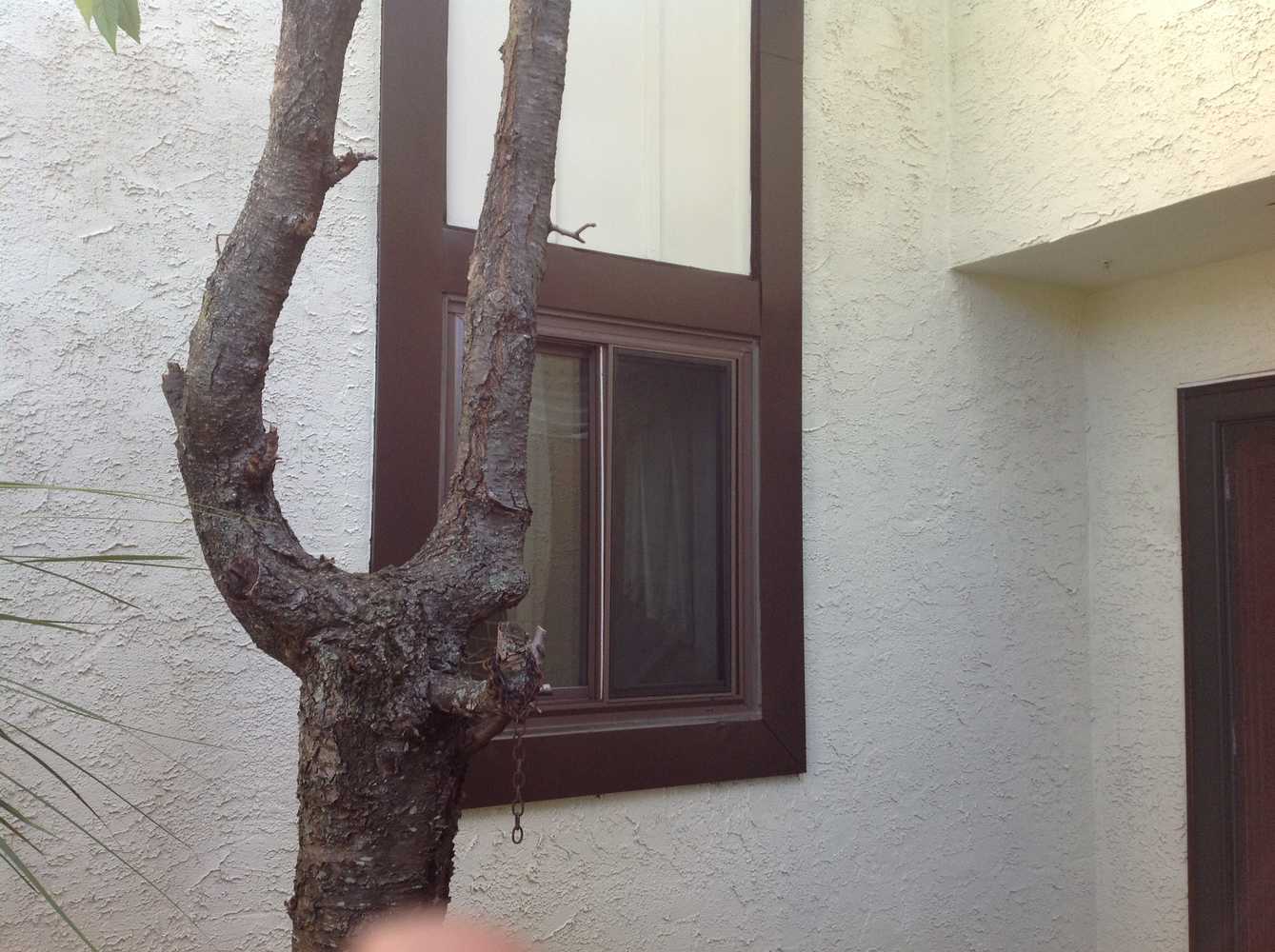 Exterior Stucco Power wash and repaint Photos