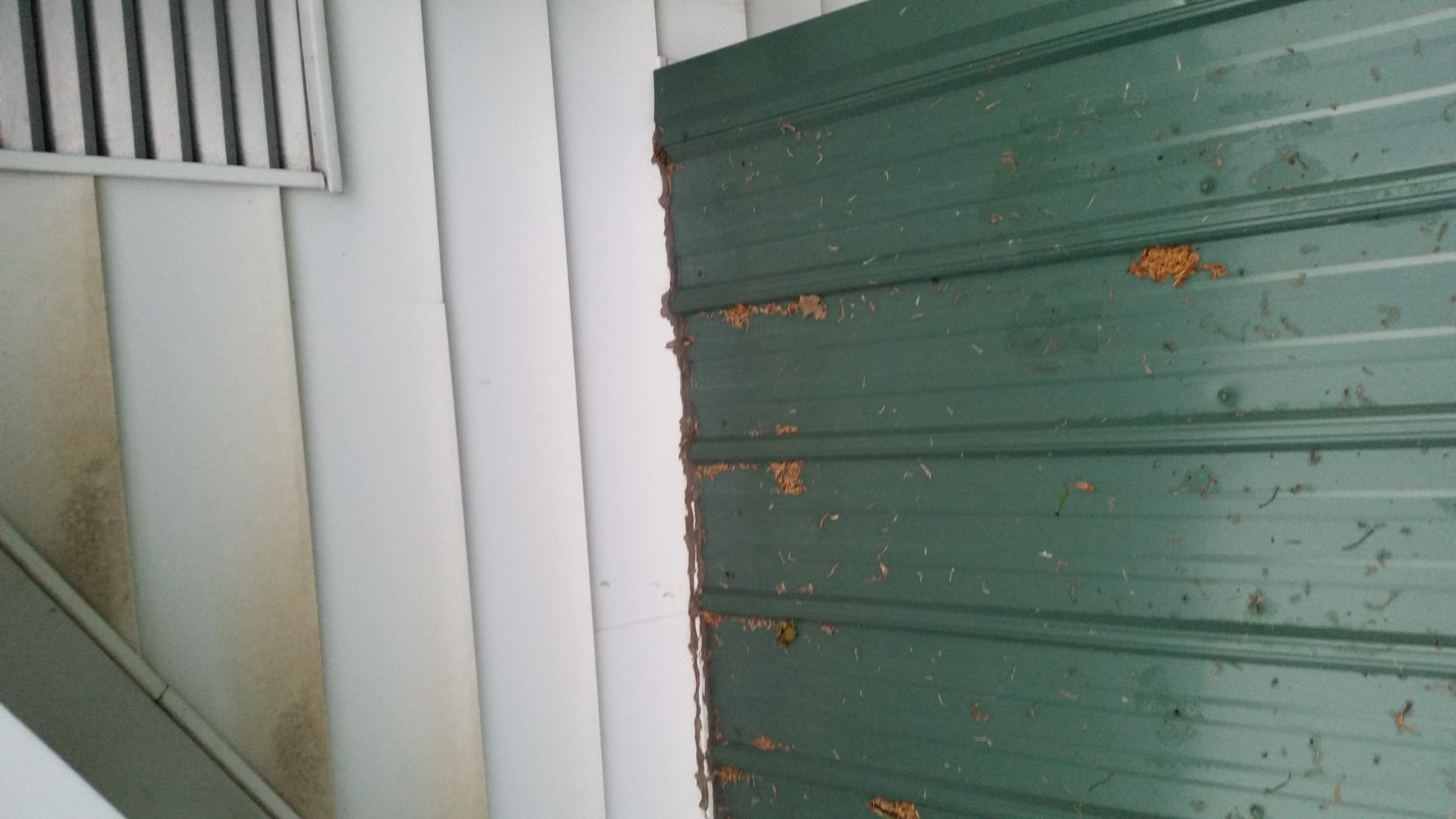 Photo(s) from Wannamaker Customs