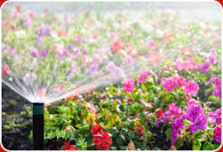 H&W landscape and irrigation