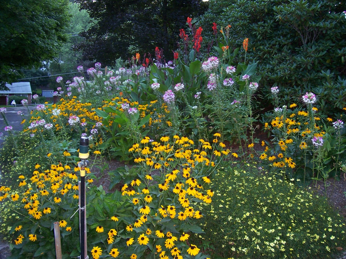 Asturi Landscaping Inc Project