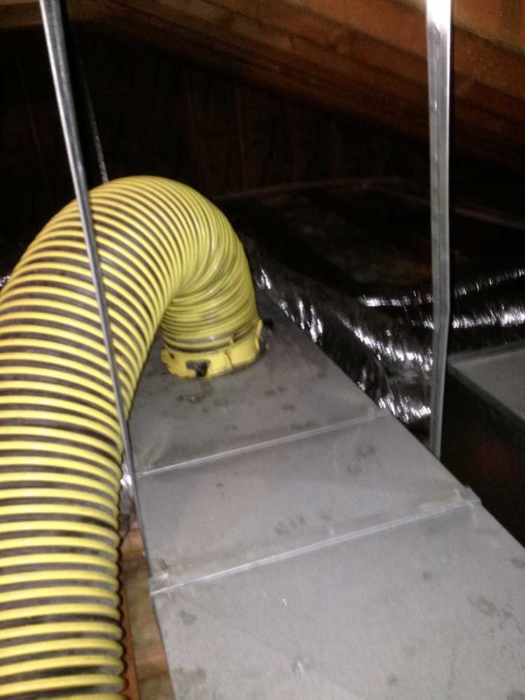 Photo(s) from All Island Duct Cleaning, Inc.