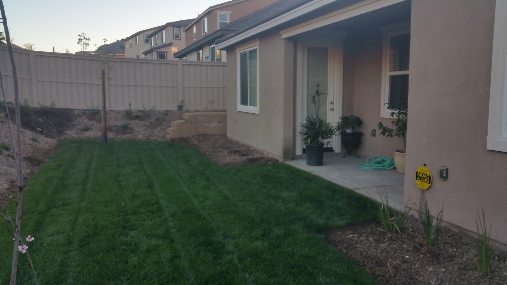 Before / After Backyards