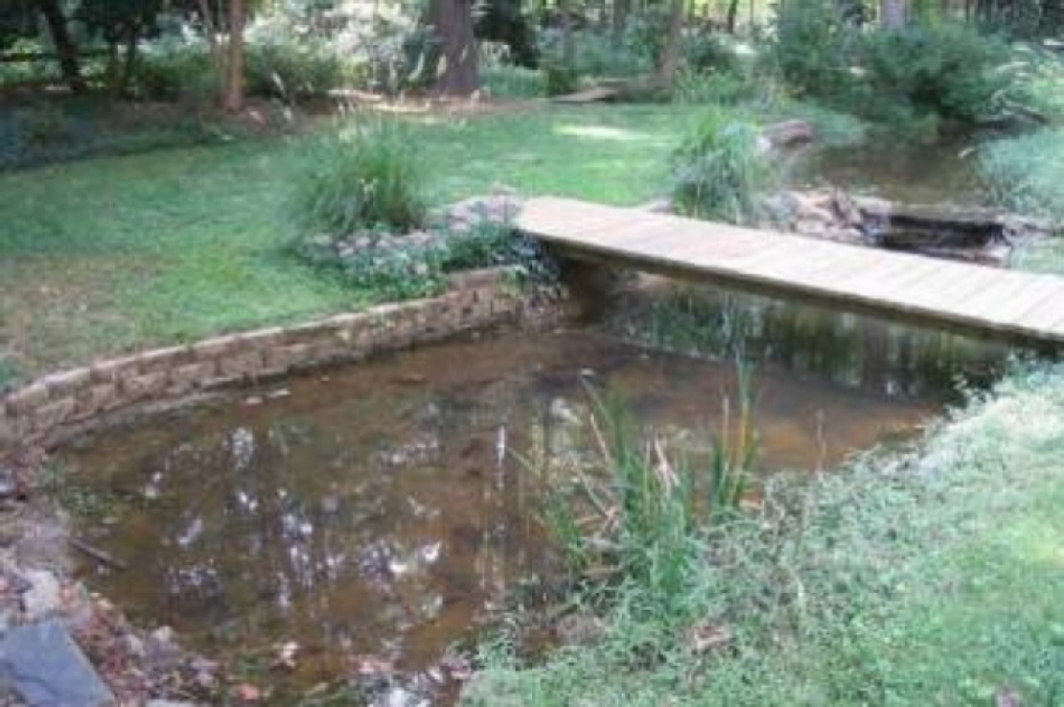 Portfolio of Water Features