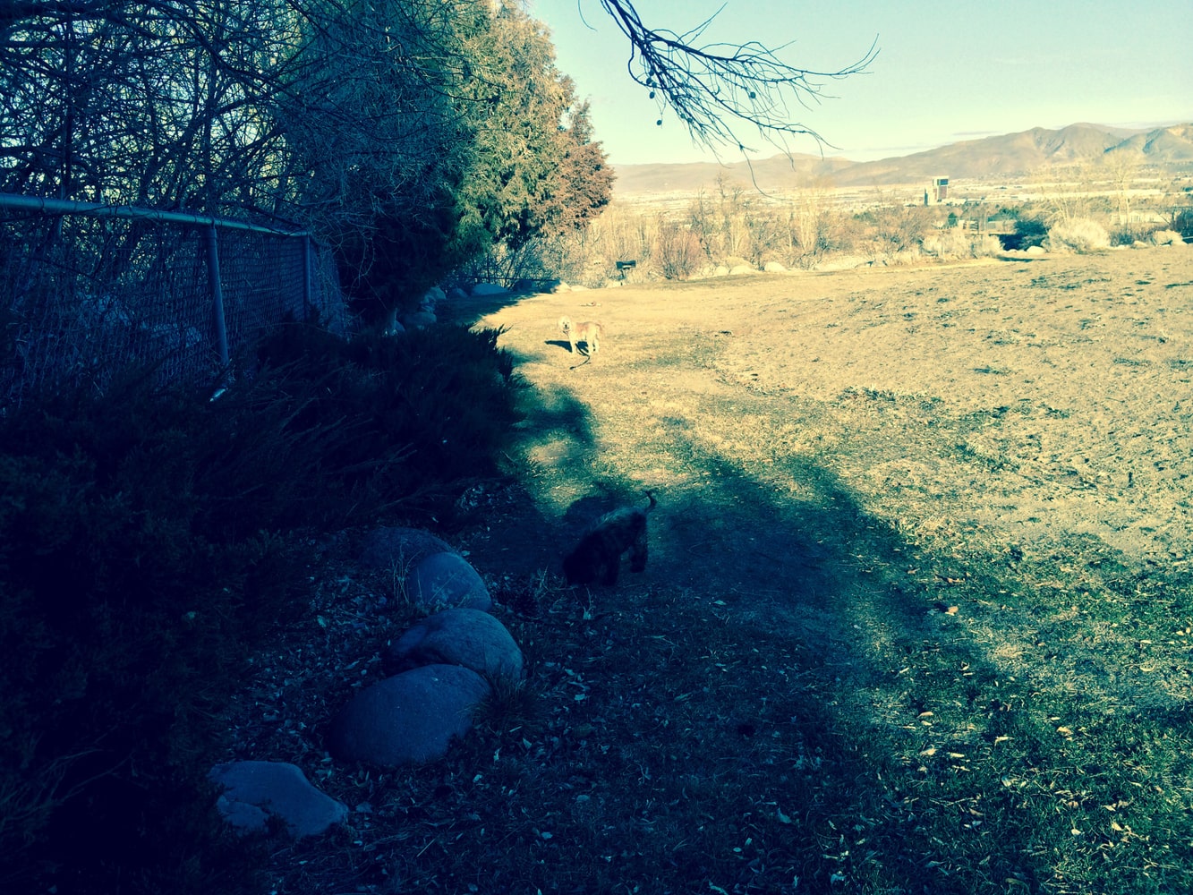 Photo(s) from Maple Creek Construction Llc