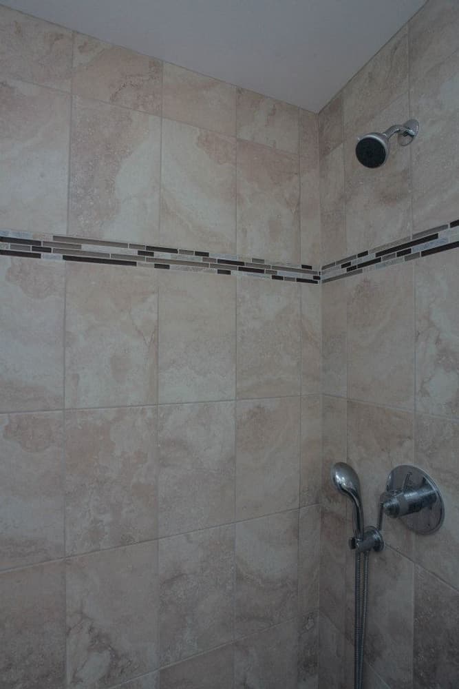 Wilmette Master Bathroom 