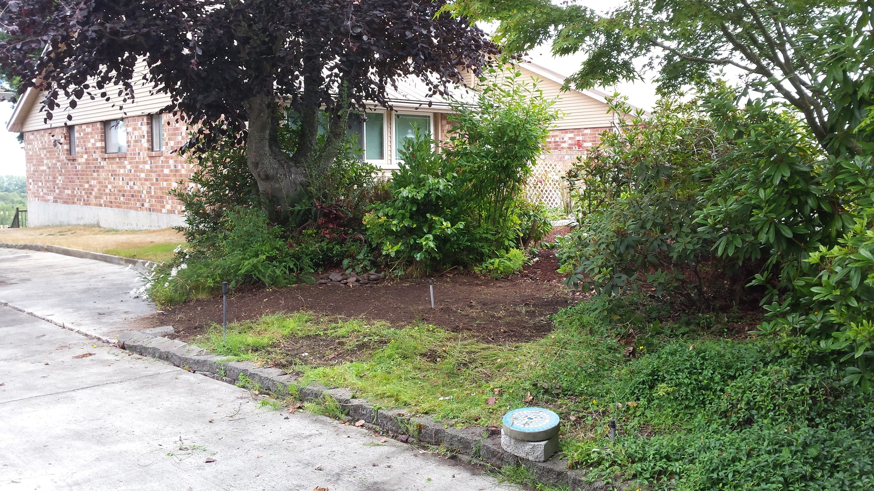 Photos from That Yard Guy