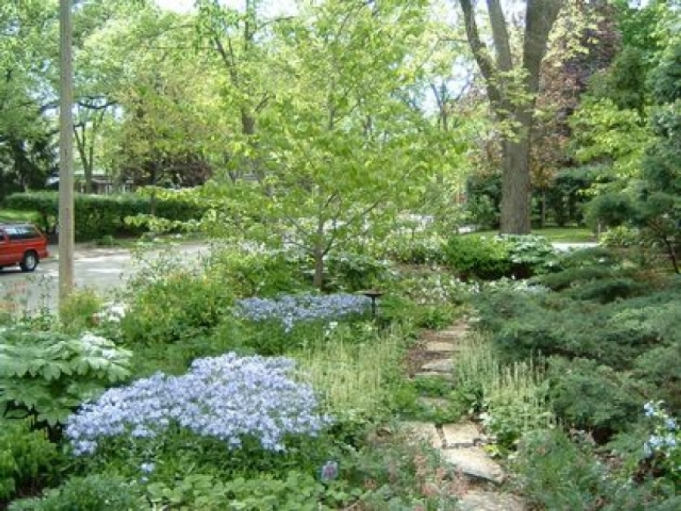 Urban Habitat Gardens
