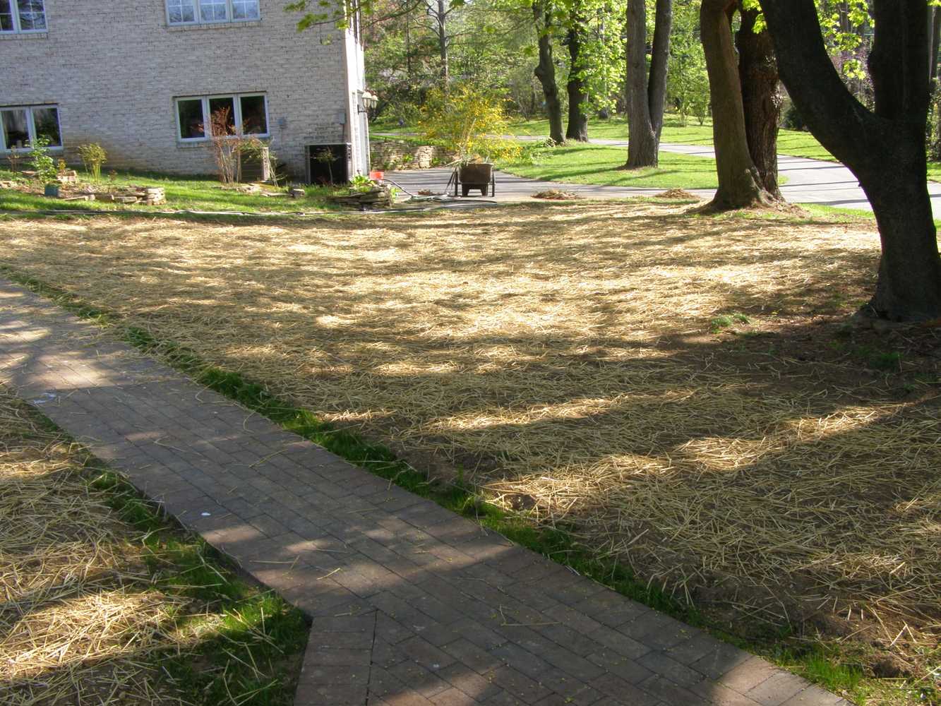 LAWN INSTALLATION SEED PREP JOB SITE