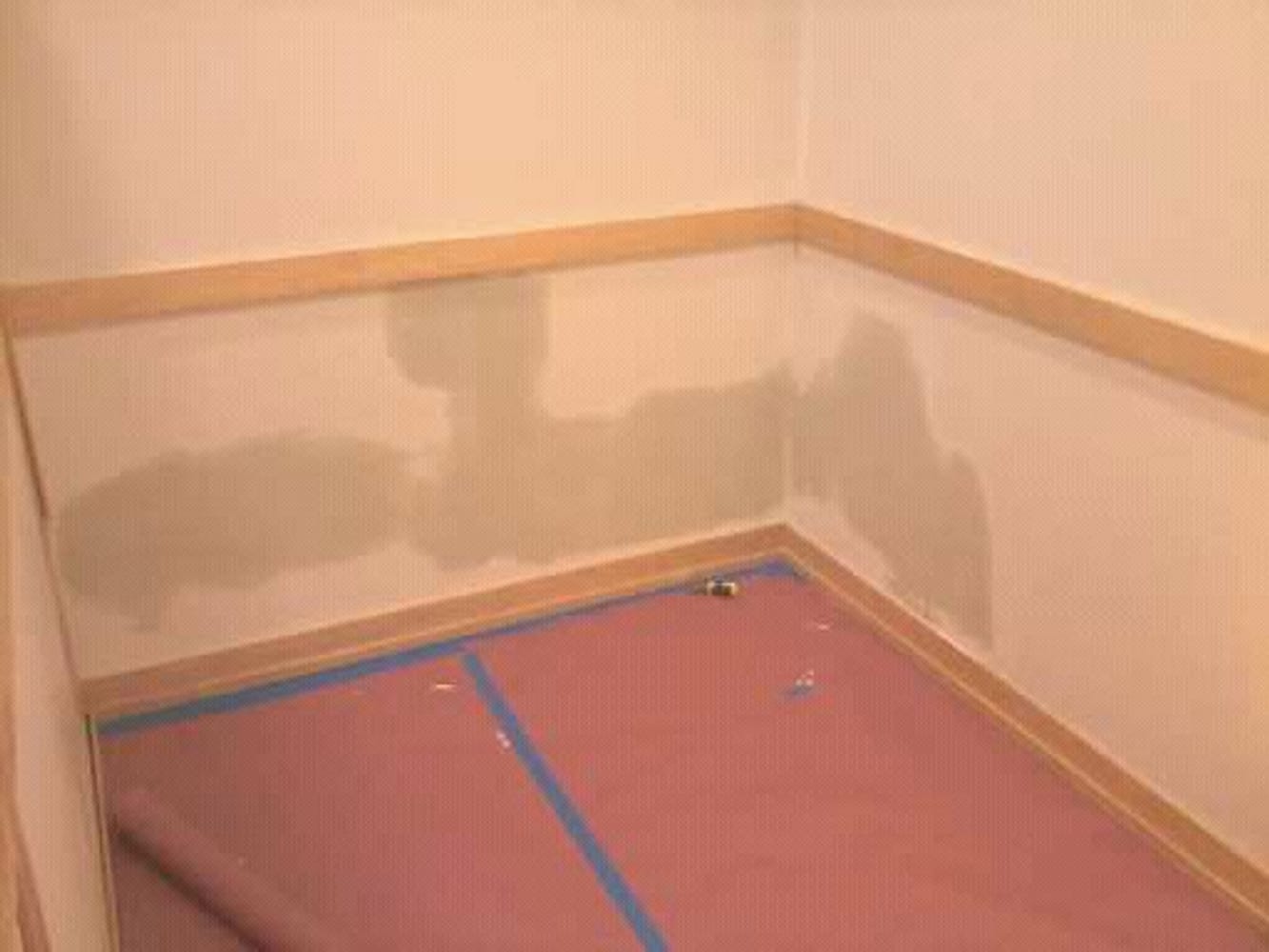 Painting Services of WI Project 1