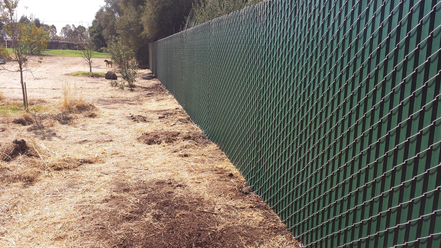 Privacy Fencing