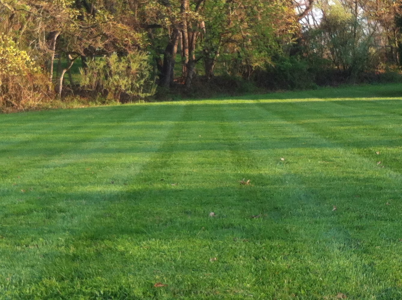 Photos from Superior Land Care Inc