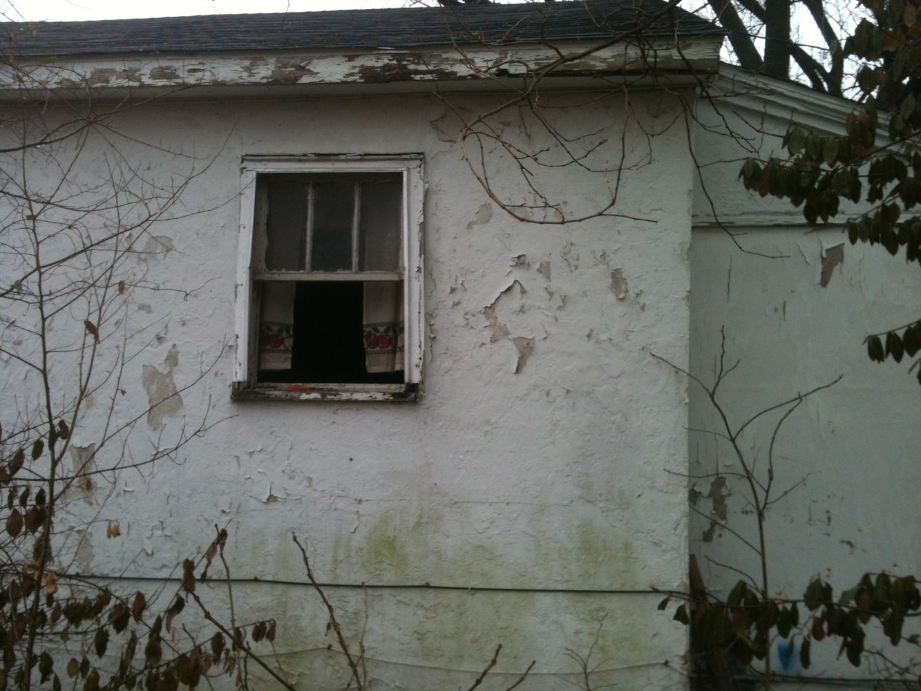 Photo(s) from Rainey Day Investments Llc