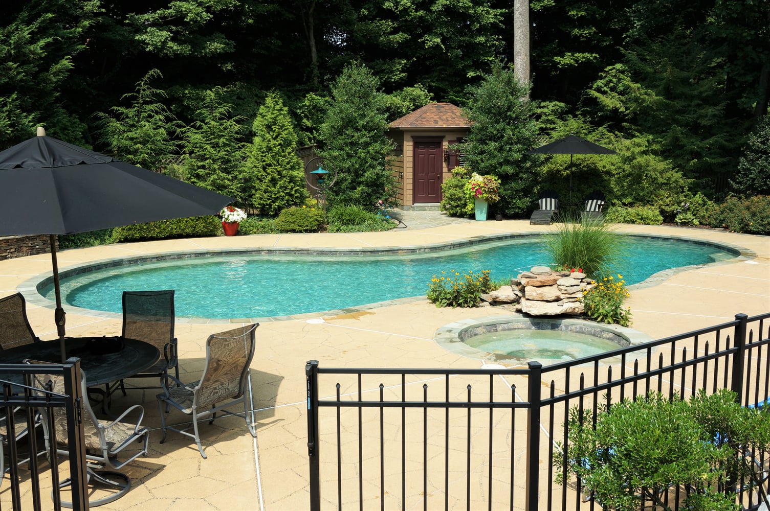 Photos from Crystal Blue Aquatics Llc