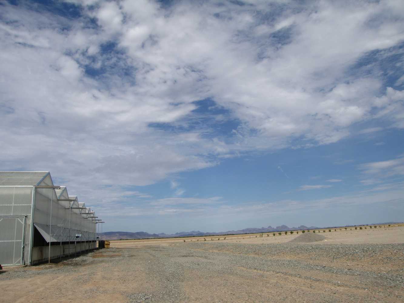 Desert Greenhouse, AZ