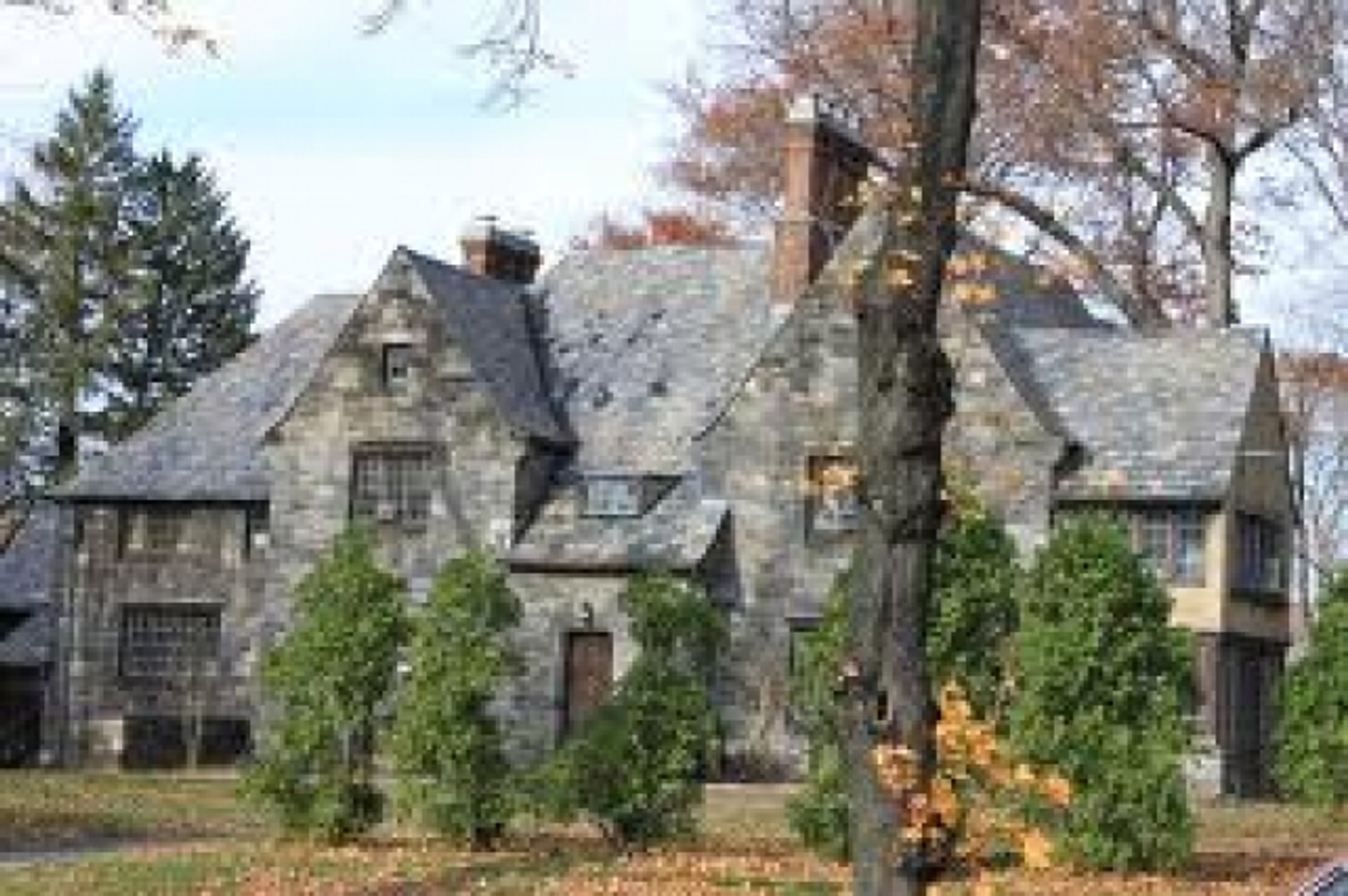 A Plus Roof Types,stills with exotic roofing products.