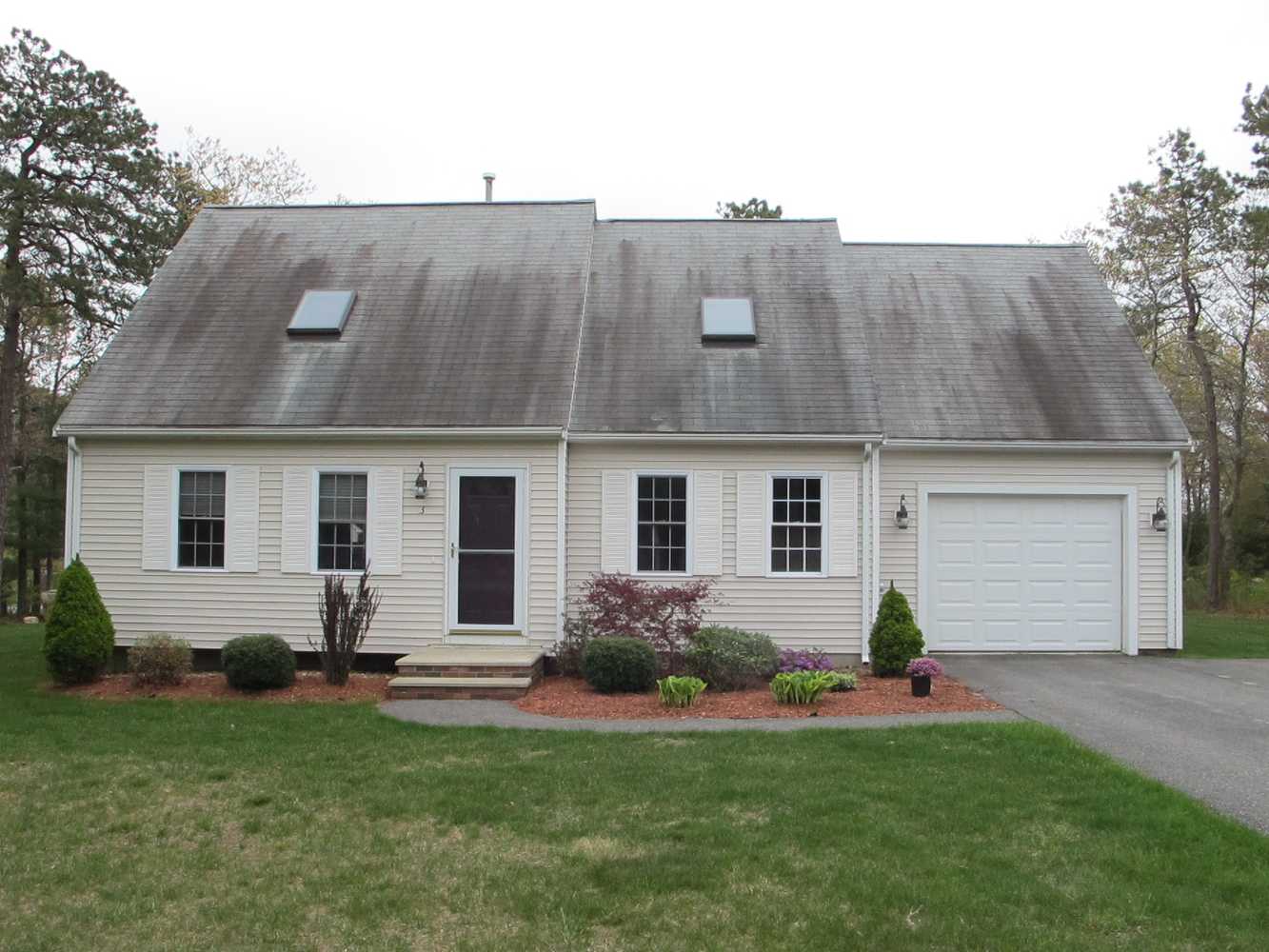 Roof Cleaning