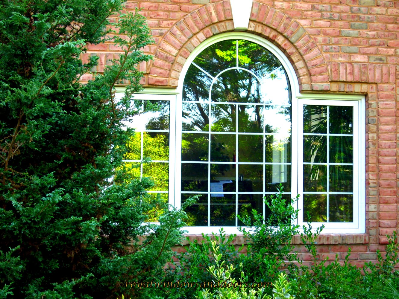 Royal Windows 