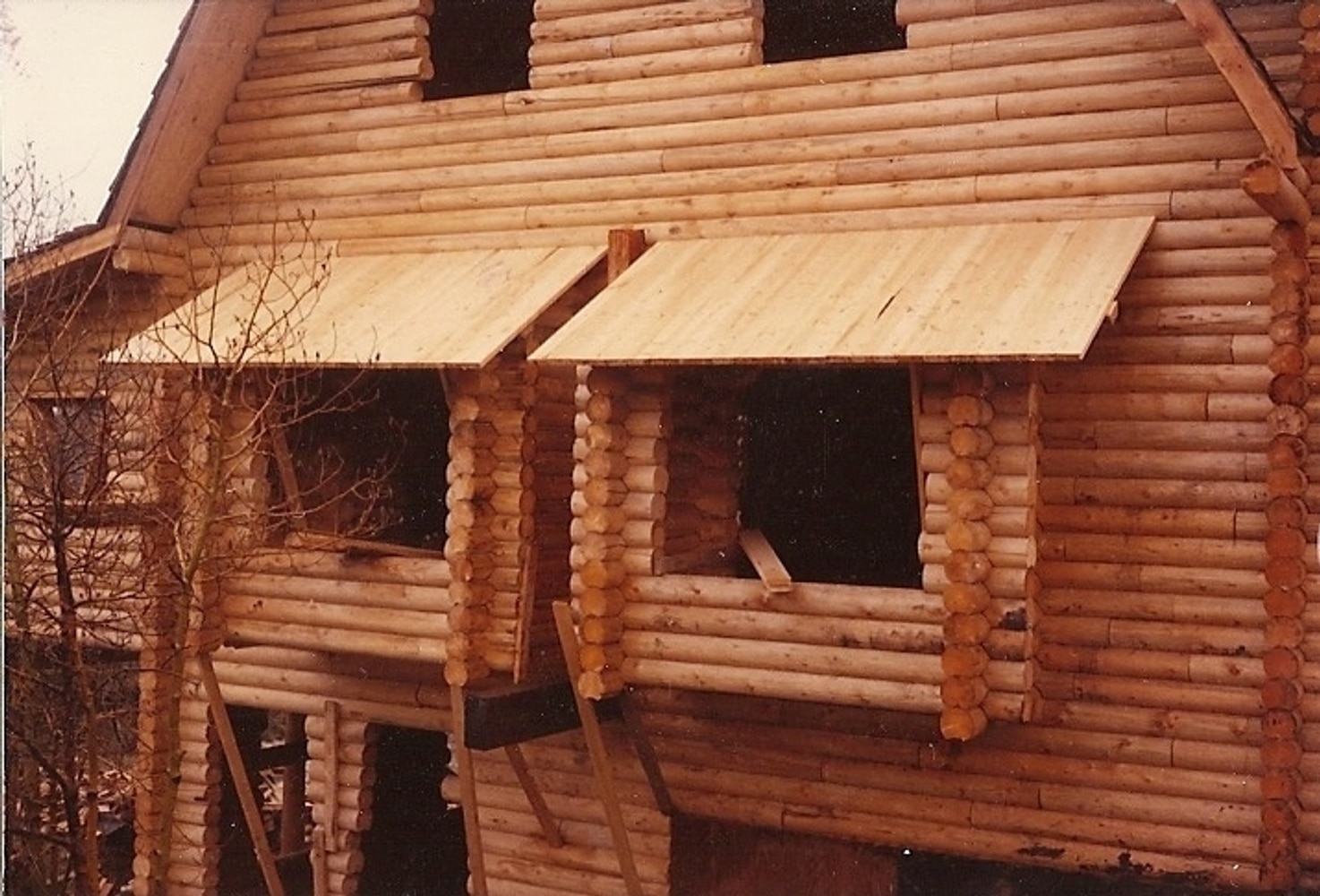 Wilderness Building Systems Project