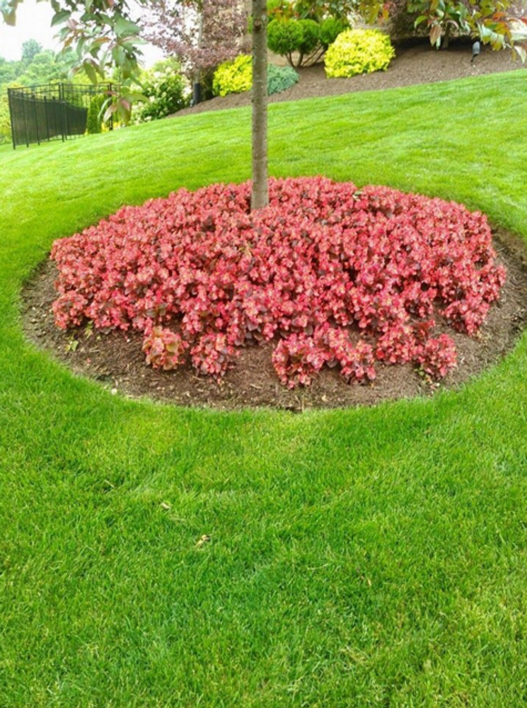 Photos from mb landscapins.com