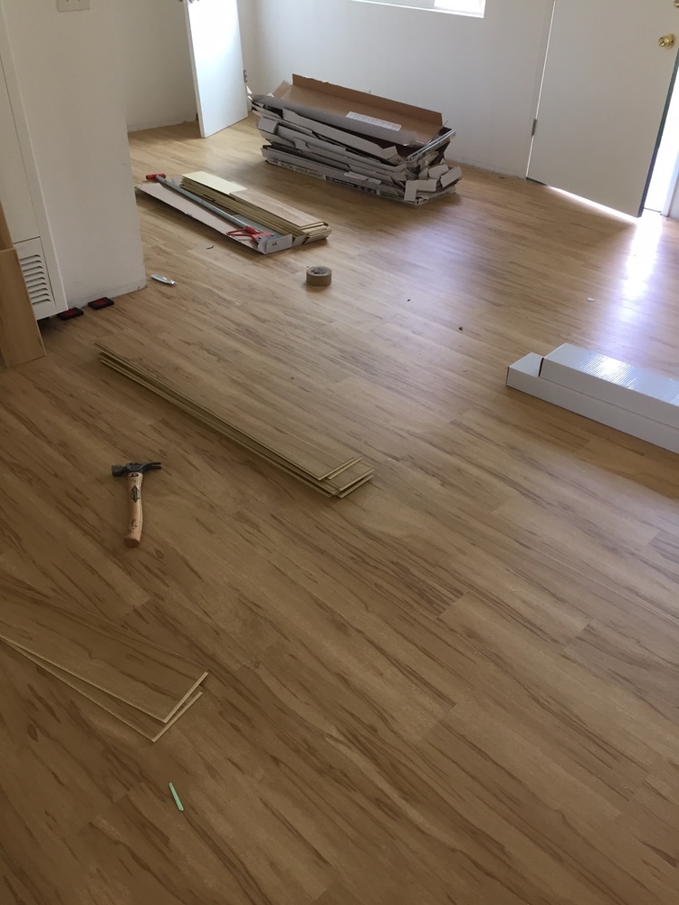 Hals Carpet & Vinyl Project